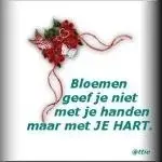 van je familie moet je het heebben